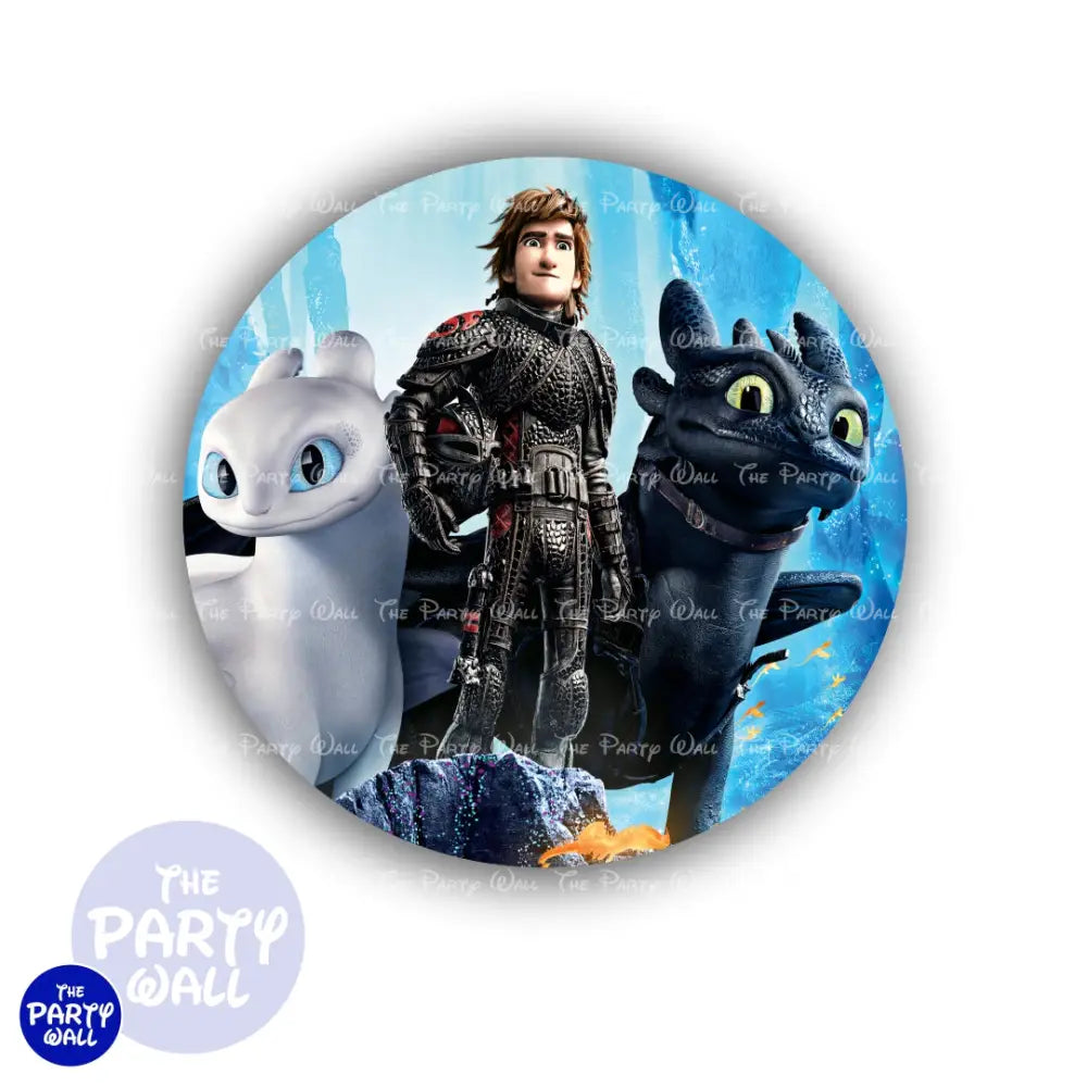 Como entrenar a tu dragón - Funda para mampara circular Circular