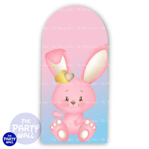 Revelación de Sexo - Funda para mampara de punta redonda o rectangular Mampara de punta redonda