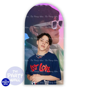 Xavi - Funda para mampara de punta redonda o rectangular Mampara de punta redonda